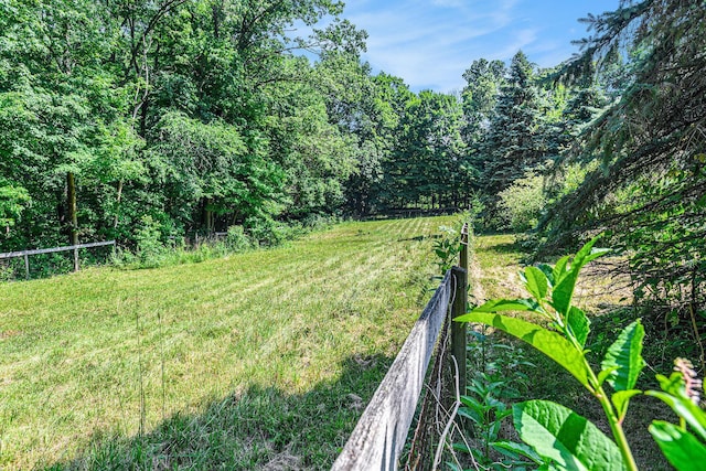 8257 S 2nd St, Michigan, MI 49071 - view of grassy yard featuring a view of trees