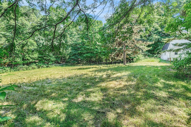 8257 S 2nd St, Michigan, MI 49071 - view of grassy yard featuring a wooded view