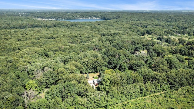 8257 S 2nd St, Michigan, MI 49071 - aerial view of property and surrounding area featuring a heavily wooded area and a nearby body of water