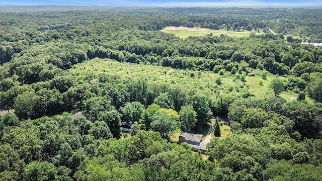 8257 S 2nd St, Michigan, MI 49071 - aerial overview of property's location featuring a heavily wooded area