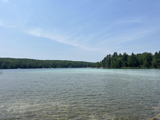 6299 Blue Lake Rd NE, Kalkaska, MI 49646 - photo 48
