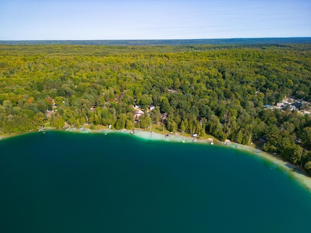 6299 Blue Lake Rd NE, Kalkaska, MI 49646 - photo 49