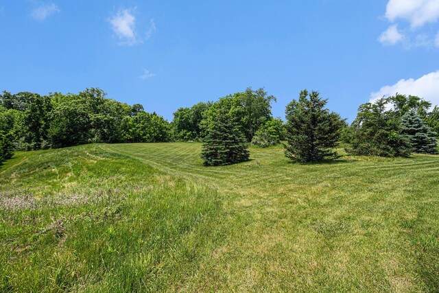 9991 Kaiser Rd, Saline, MI 48176 - view of grassy yard