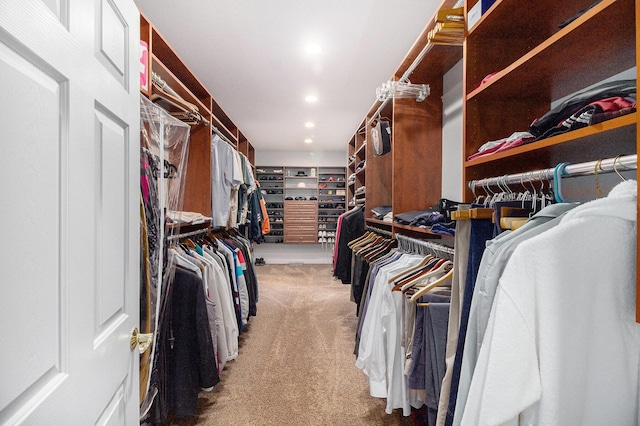 9991 Kaiser Rd, Saline, MI 48176 - walk in closet with carpet floors