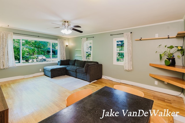 2338 Edgewood Dr, Kalamazoo, MI 49008 - living area with ceiling fan, plenty of natural light, wood finished floors, and ornamental molding