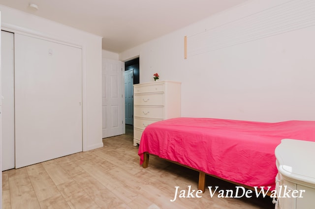 2338 Edgewood Dr, Kalamazoo, MI 49008 - bedroom featuring light wood-style floors
