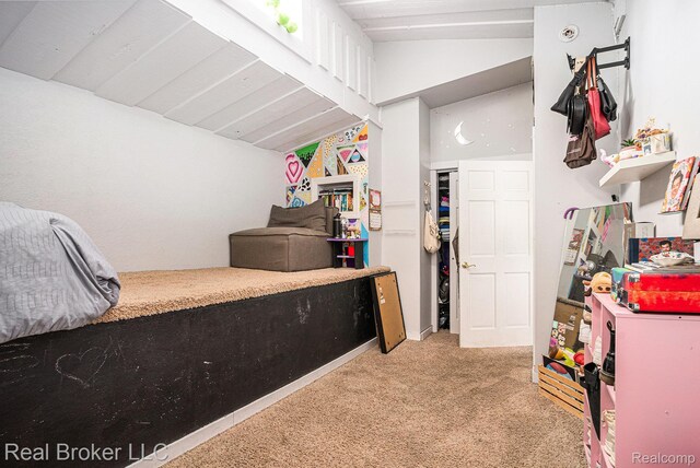 748 Green St, South Haven, MI 49090 - photo 20
