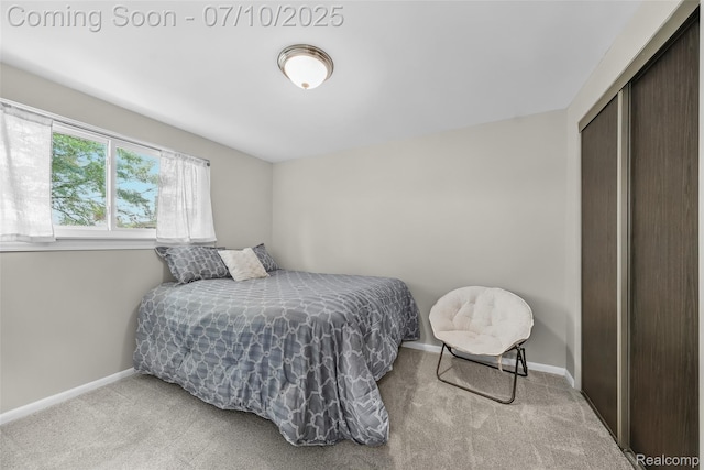 29225 Tessmer Ct, Madison Heights, MI 48071 - bedroom with carpet floors and a closet