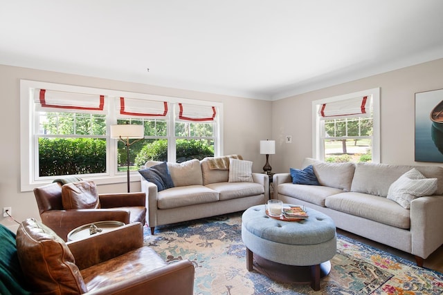 144 N Scott St, Adrian, MI 49221 - living area with plenty of natural light