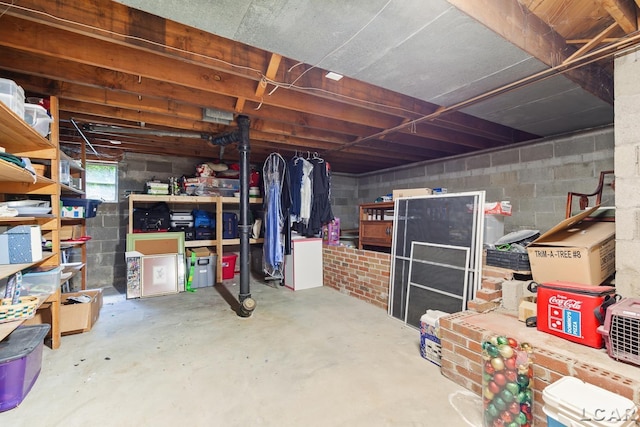 144 N Scott St, Adrian, MI 49221 - basement featuring concrete block wall