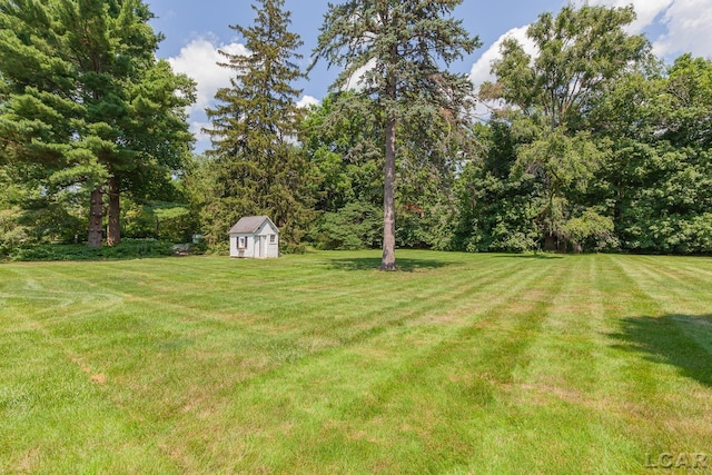144 N Scott St, Adrian, MI 49221 - view of green lawn featuring a storage shed