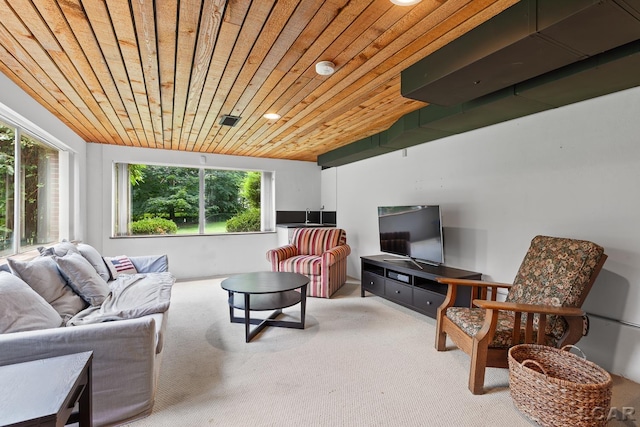 144 N Scott St, Adrian, MI 49221 - carpeted living area featuring wooden ceiling