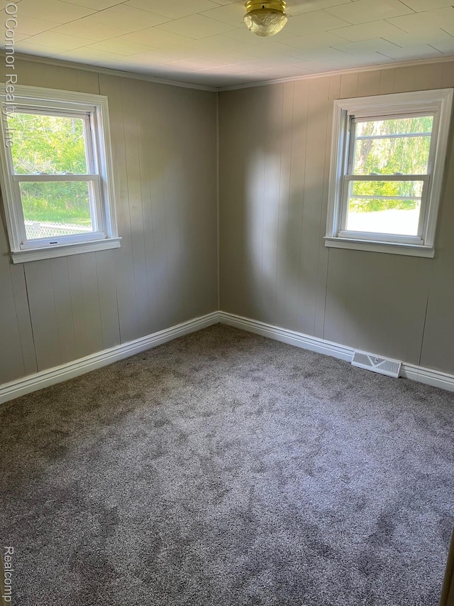 5035 Burma Rd, Kimball, MI 48074 - spare room featuring carpet, plenty of natural light, and ornamental molding