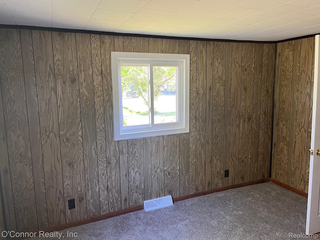 5035 Burma Rd, Kimball, MI 48074 - carpeted empty room with wooden walls and baseboards