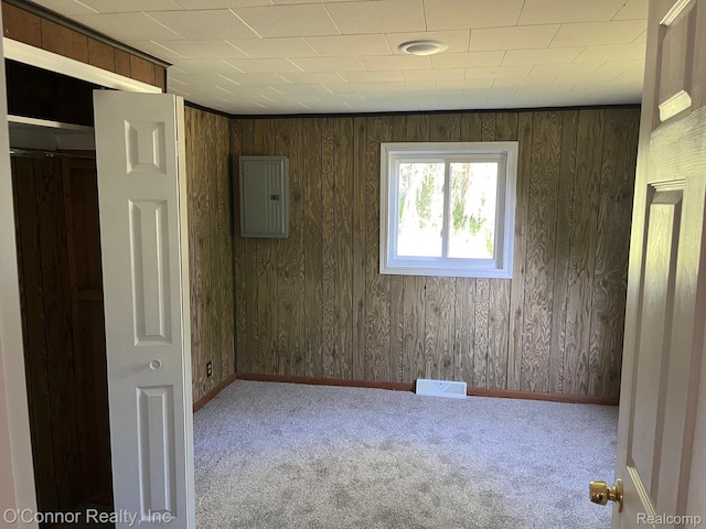 5035 Burma Rd, Kimball, MI 48074 - carpeted empty room with electric panel and wooden walls