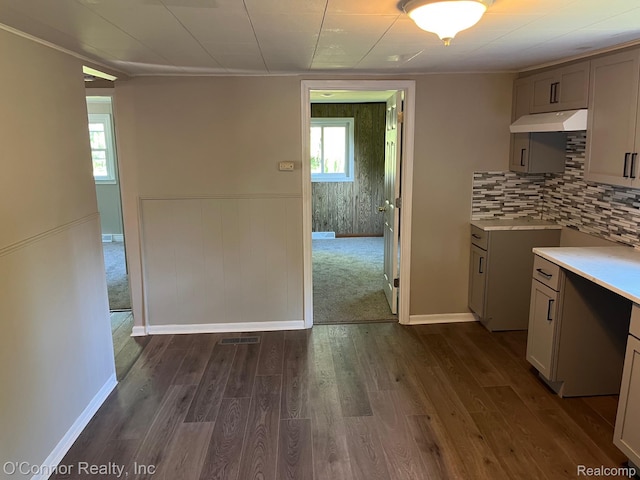 5035 Burma Rd, Kimball, MI 48074 - kitchen featuring under cabinet range hood, dark wood-type flooring, light countertops, decorative backsplash, and gray cabinets