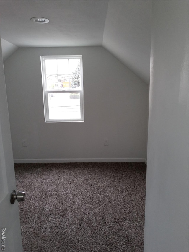501 N Leroy St, Fenton, MI 48430 - additional living space featuring vaulted ceiling and carpet flooring