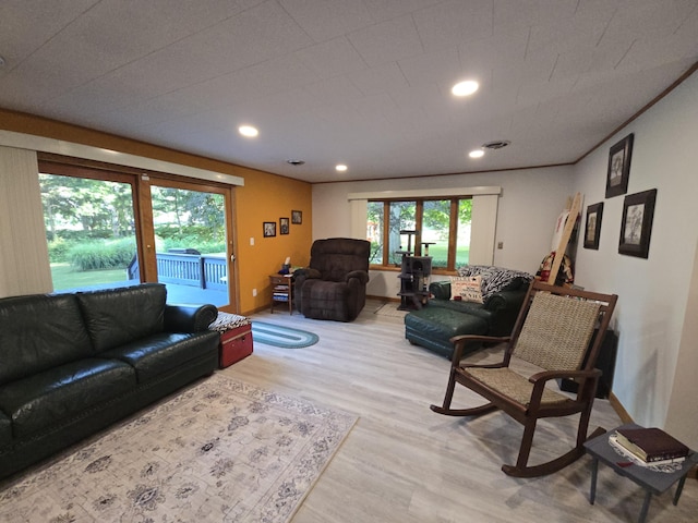 971 Weaver Rd, Bronson, MI 49028 - living room featuring wood finished floors and recessed lighting