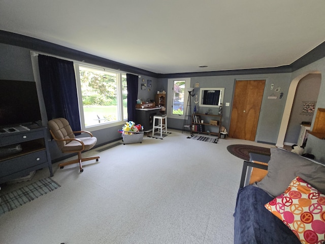 971 Weaver Rd, Bronson, MI 49028 - carpeted living room featuring healthy amount of natural light and arched walkways