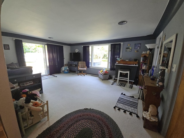 971 Weaver Rd, Bronson, MI 49028 - living area featuring carpet