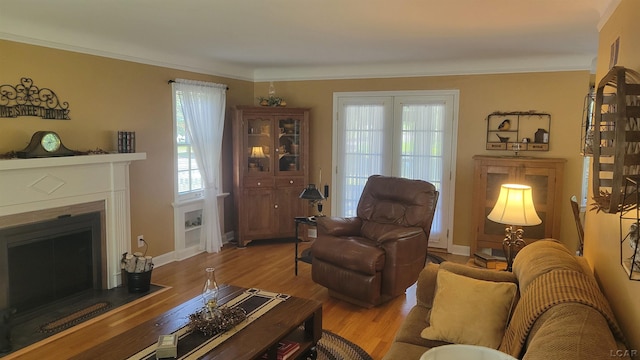401 Budlong St, Adrian, MI 49221 - living room with light wood-type flooring, a fireplace with flush hearth, and ornamental molding