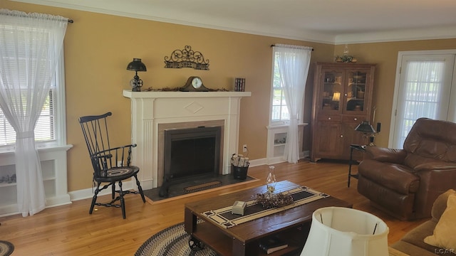401 Budlong St, Adrian, MI 49221 - living area with light wood finished floors, a fireplace, and ornamental molding