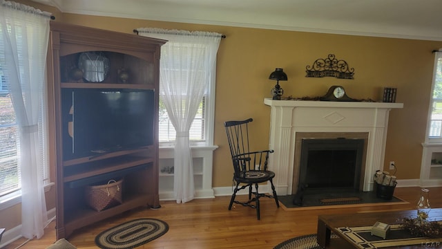 401 Budlong St, Adrian, MI 49221 - living room featuring a fireplace with flush hearth, wood finished floors, ornamental molding, and plenty of natural light