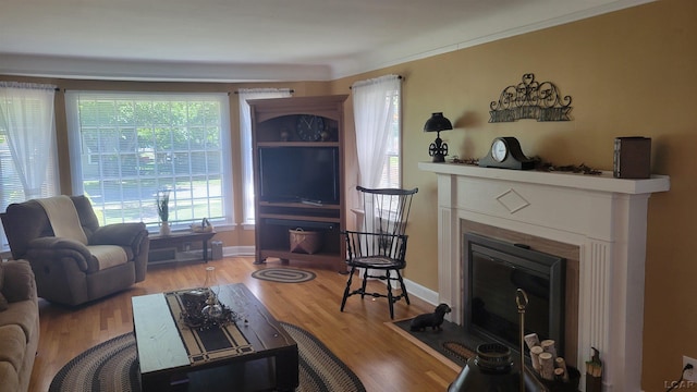401 Budlong St, Adrian, MI 49221 - living area featuring wood finished floors, a fireplace with flush hearth, and crown molding