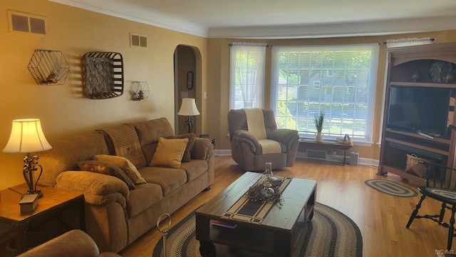 401 Budlong St, Adrian, MI 49221 - living area featuring arched walkways, wood finished floors, and crown molding