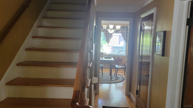 401 Budlong St, Adrian, MI 49221 - stairs featuring wood finished floors