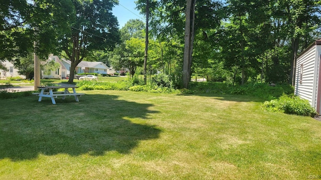 401 Budlong St, Adrian, MI 49221 - view of grassy yard
