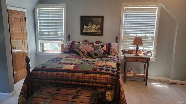 401 Budlong St, Adrian, MI 49221 - carpeted bedroom featuring baseboards