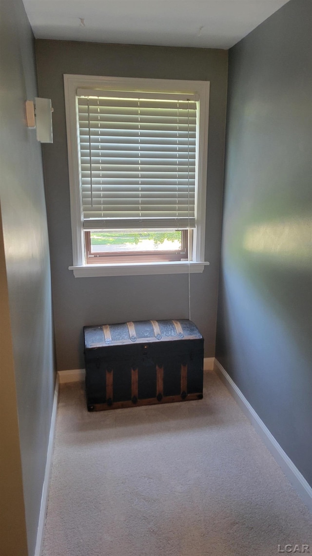 401 Budlong St, Adrian, MI 49221 - detailed view of carpet