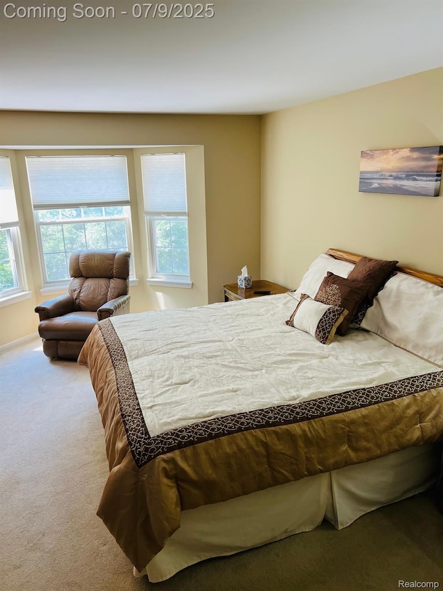 5348 Forest Ridge Dr, Clarkston, MI 48346 - bedroom with carpet flooring