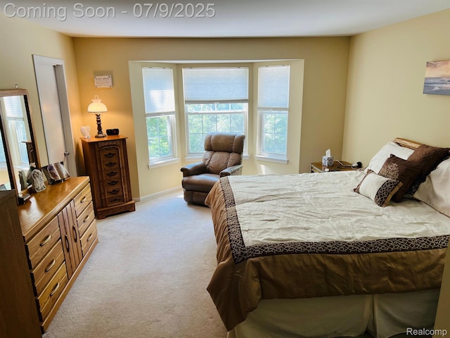 5348 Forest Ridge Dr, Clarkston, MI 48346 - bedroom featuring light carpet and baseboards