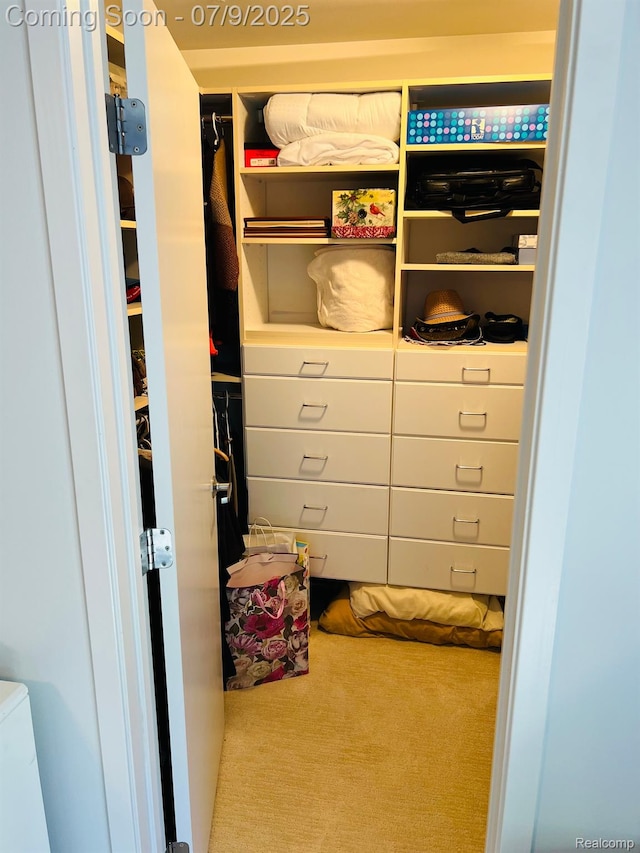 5348 Forest Ridge Dr, Clarkston, MI 48346 - walk in closet with carpet