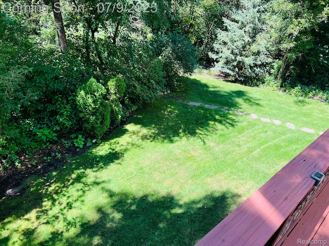 5348 Forest Ridge Dr, Clarkston, MI 48346 - view of green lawn