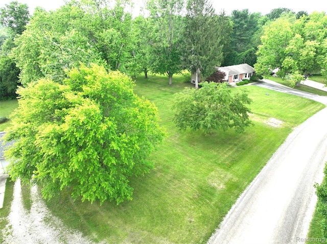 9100 Mayfred Dr, Pinckney, MI 48169 - view from above of property