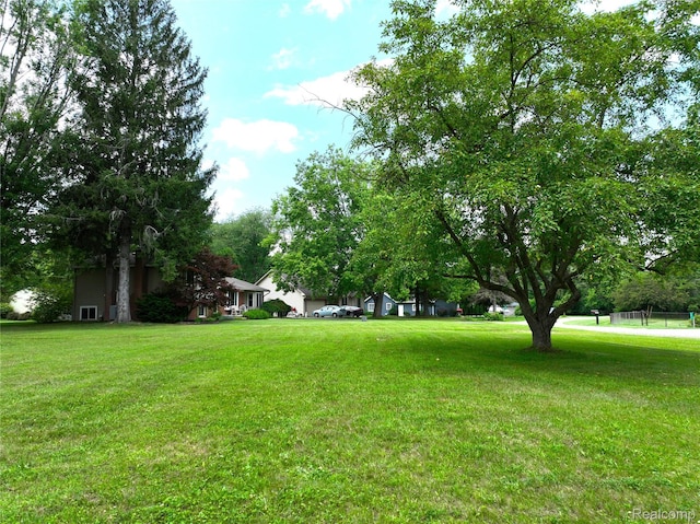 9100 Mayfred Dr, Pinckney, MI 48169 - view of green lawn