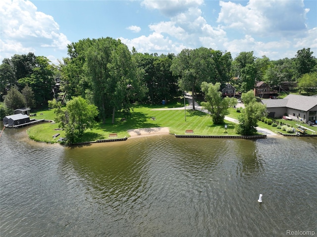 9100 Mayfred Dr, Pinckney, MI 48169 - water view featuring a tree filled landscape