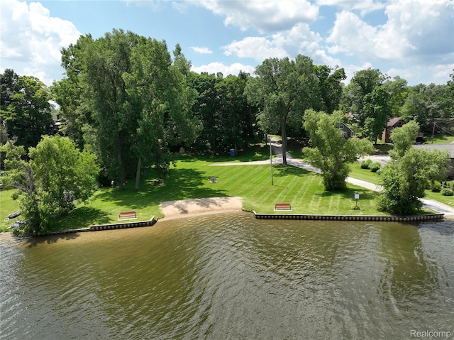 9100 Mayfred Dr, Pinckney, MI 48169 - water view with a tree filled landscape