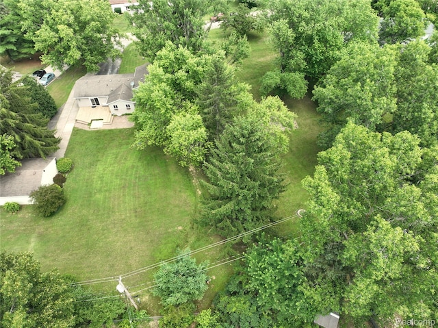 9100 Mayfred Dr, Pinckney, MI 48169 - aerial view of property and surrounding area
