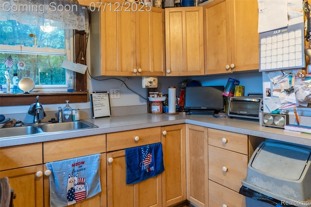 16380 Sumpter Rd, Van Buren, MI 48111 - kitchen with light countertops