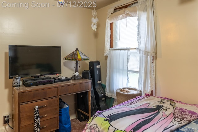 16380 Sumpter Rd, Van Buren, MI 48111 - bedroom featuring multiple windows
