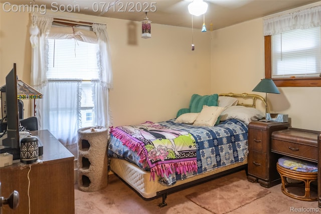 16380 Sumpter Rd, Van Buren, MI 48111 - bedroom with multiple windows and carpet flooring