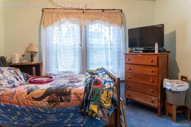 16380 Sumpter Rd, Van Buren, MI 48111 - view of carpeted bedroom