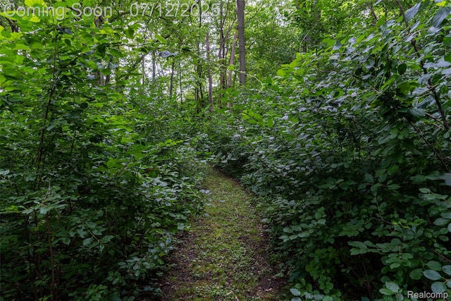 16380 Sumpter Rd, Van Buren, MI 48111 - view of undeveloped land