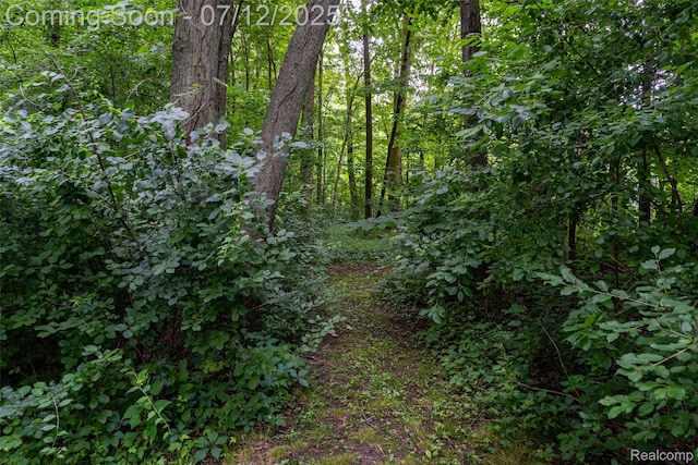 16380 Sumpter Rd, Van Buren, MI 48111 - view of nature