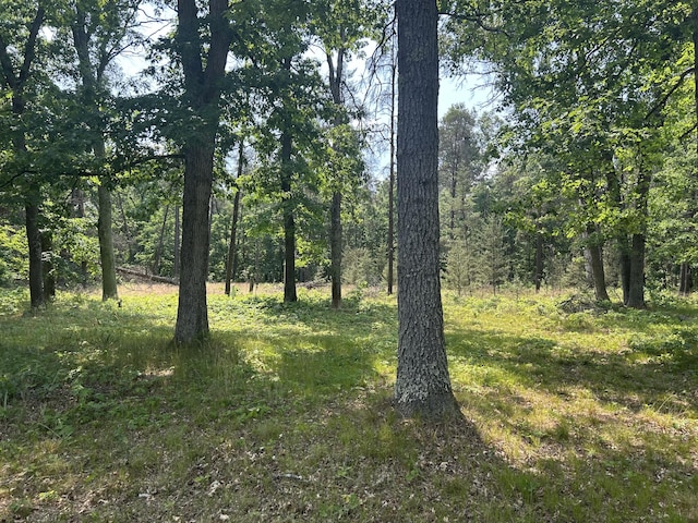 3423 S James Rd, Baldwin, MI 49304 - view of woods