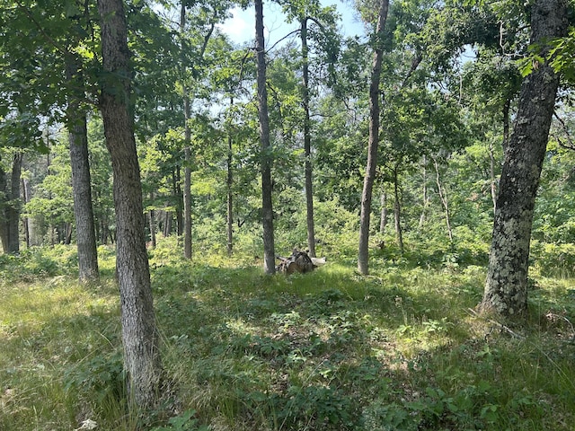 3423 S James Rd, Baldwin, MI 49304 - view of woods